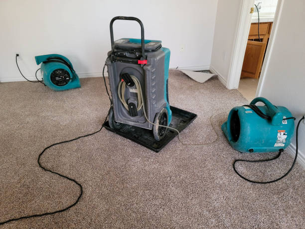 Best Carpet water damage restoration  in Ames, TX