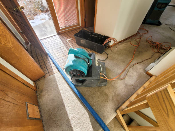 Best Emergency water damage restoration  in Ames, TX