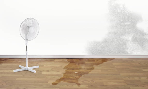 Best Flood restoration services  in Ames, TX