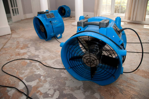 Best 24-hour water damage restoration  in Ames, TX