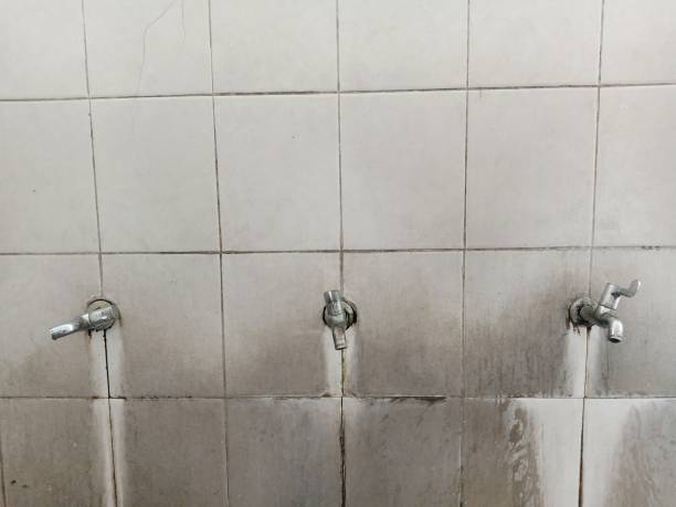 Best Professional water damage repair  in Ames, TX