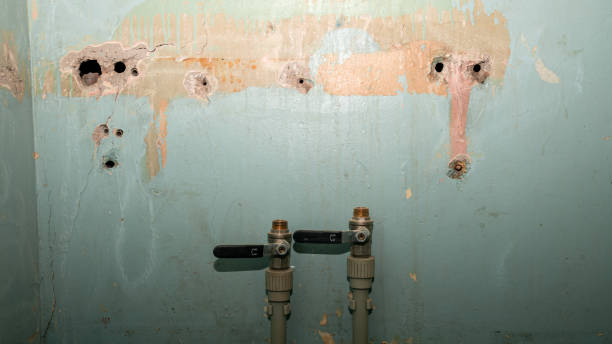 Best Water damage restoration near me  in Ames, TX
