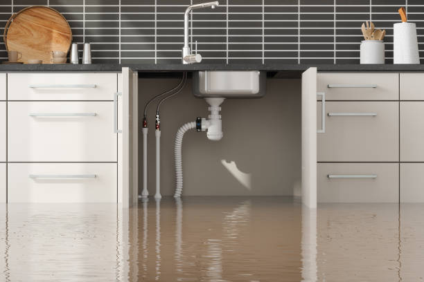 Best Water damage contractors near me  in Ames, TX