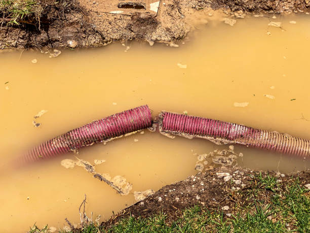 Best Sewage cleanup and water damage restoration  in Ames, TX