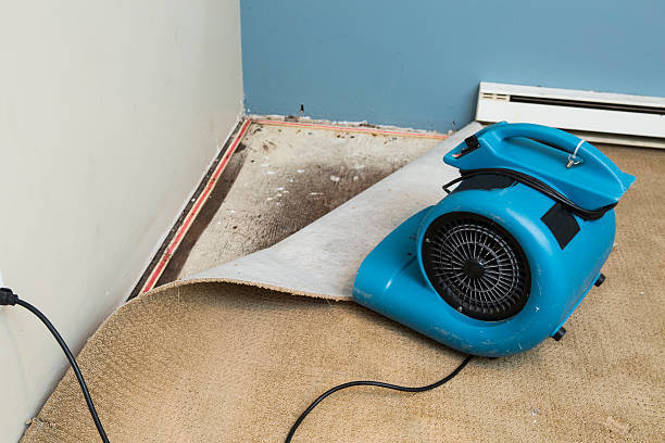  Ames, TX Water damage restoration Pros